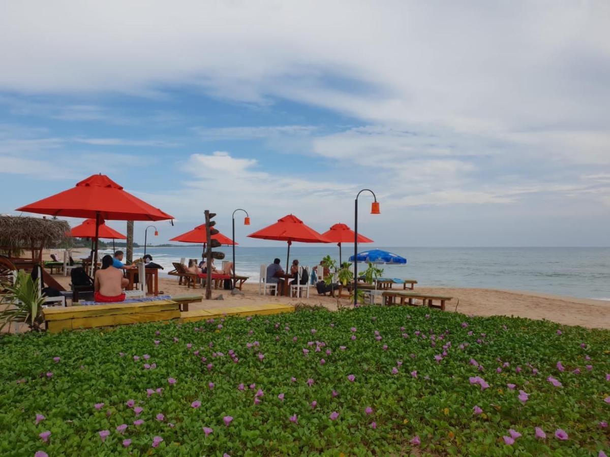 Blue Horizon Beach Hotel タンガラ エクステリア 写真
